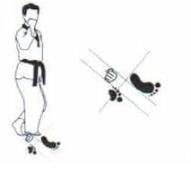 position Dwitt Koa seugui
